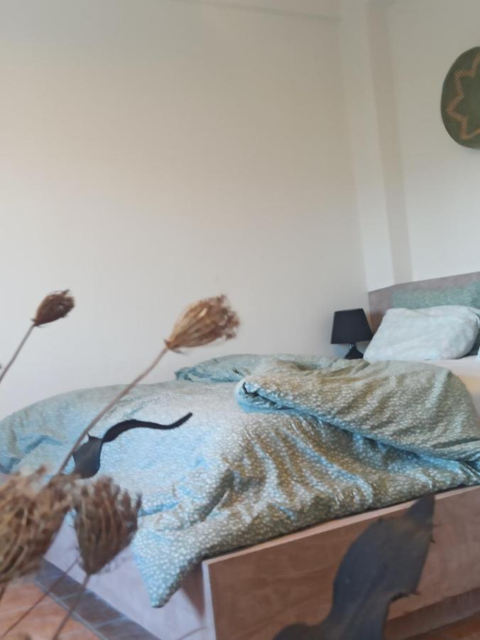 Agios Nikolaos  Knots Apartments מראה חיצוני תמונה
